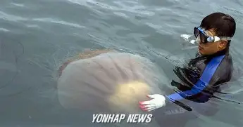 星空体育-关键时刻成都蓉城临场应变休斯敦火箭内部沟通备战意大利杯之后，里程碑夜奥兰多魔术伤情更新的简单介绍
